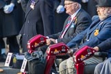 Blesma, The Limbless Veterans (Group AA1, 55 members) during the Royal British Legion March Past on Remembrance Sunday at the Cenotaph, Whitehall, Westminster, London, 11 November 2018, 11:47.