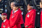 British Ex-Services Wheelchair Sports Association  (Group AA2, 14 members) during the Royal British Legion March Past on Remembrance Sunday at the Cenotaph, Whitehall, Westminster, London, 11 November 2018, 11:48.