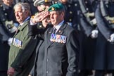 The Queen Alexandra Hospital Home (Group AA4, 20 members) during the Royal British Legion March Past on Remembrance Sunday at the Cenotaph, Whitehall, Westminster, London, 11 November 2018, 11:48.