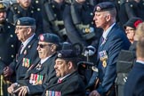 National Gulf Veterans and Families Association (Group F14, 25 members) during the Royal British Legion March Past on Remembrance Sunday at the Cenotaph, Whitehall, Westminster, London, 11 November 2018, 11:52.
