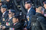 National Gulf Veterans and Families Association (Group F14, 25 members) during the Royal British Legion March Past on Remembrance Sunday at the Cenotaph, Whitehall, Westminster, London, 11 November 2018, 11:52.