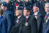 National Gulf Veterans and Families Association (Group F14, 25 members) during the Royal British Legion March Past on Remembrance Sunday at the Cenotaph, Whitehall, Westminster, London, 11 November 2018, 11:52.