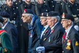 Suez Veterans' Association (Group F15, 32 members) during the Royal British Legion March Past on Remembrance Sunday at the Cenotaph, Whitehall, Westminster, London, 11 November 2018, 11:52.