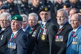 The South Atlantic Medal Association 1982 (Group F17, 150 members) during the Royal British Legion March Past on Remembrance Sunday at the Cenotaph, Whitehall, Westminster, London, 11 November 2018, 11:52.