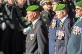 The Ammunition Technicians' Association (Group F28, 37 members) during the Royal British Legion March Past on Remembrance Sunday at the Cenotaph, Whitehall, Westminster, London, 11 November 2018, 11:54.