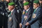 The Ammunition Technicians' Association (Group F28, 37 members) during the Royal British Legion March Past on Remembrance Sunday at the Cenotaph, Whitehall, Westminster, London, 11 November 2018, 11:54.