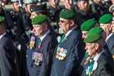 The Ammunition Technicians' Association (Group F28, 37 members) during the Royal British Legion March Past on Remembrance Sunday at the Cenotaph, Whitehall, Westminster, London, 11 November 2018, 11:54.