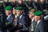 The Ammunition Technicians' Association (Group F28, 37 members) during the Royal British Legion March Past on Remembrance Sunday at the Cenotaph, Whitehall, Westminster, London, 11 November 2018, 11:54.