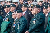 Royal Green Jackets (Group A2, 153 members)  during the Royal British Legion March Past on Remembrance Sunday at the Cenotaph, Whitehall, Westminster, London, 11 November 2018, 11:55.