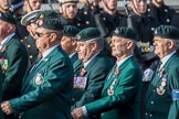 The Light Infantry Association (Group A4, 26 members) during the Royal British Legion March Past on Remembrance Sunday at the Cenotaph, Whitehall, Westminster, London, 11 November 2018, 11:56.
