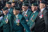 Durham Light Infantry Association (Group A5, 27 members) during the Royal British Legion March Past on Remembrance Sunday at the Cenotaph, Whitehall, Westminster, London, 11 November 2018, 11:56.