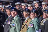 Queen's Own Highlanders Regimental Association (Group A11, 55 members) during the Royal British Legion March Past on Remembrance Sunday at the Cenotaph, Whitehall, Westminster, London, 11 November 2018, 11:57.