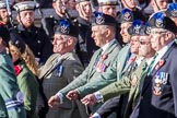 Queen's Own Highlanders Regimental Association (Group A11, 55 members) during the Royal British Legion March Past on Remembrance Sunday at the Cenotaph, Whitehall, Westminster, London, 11 November 2018, 11:57.