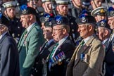 Queen's Own Highlanders Regimental Association (Group A11, 55 members) during the Royal British Legion March Past on Remembrance Sunday at the Cenotaph, Whitehall, Westminster, London, 11 November 2018, 11:57.