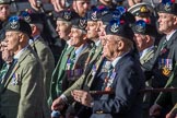 Queen's Own Highlanders Regimental Association (Group A11, 55 members) during the Royal British Legion March Past on Remembrance Sunday at the Cenotaph, Whitehall, Westminster, London, 11 November 2018, 11:57.