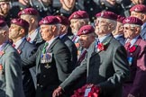 The Parachute Regimental Association (Group A21, 101 members) during the Royal British Legion March Past on Remembrance Sunday at the Cenotaph, Whitehall, Westminster, London, 11 November 2018, 11:59.