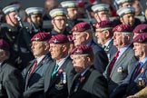 The Gordon Highlanders London Association (Group A12, 37 members) during the Royal British Legion March Past on Remembrance Sunday at the Cenotaph, Whitehall, Westminster, London, 11 November 2018, 11:59.