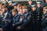 The King's Own Royal Border Regiment (Group A24, 80 members) during the Royal British Legion March Past on Remembrance Sunday at the Cenotaph, Whitehall, Westminster, London, 11 November 2018, 12:00.