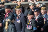 The Princess of Wales's Royal Regiment (Group A26, 60 members) during the Royal British Legion March Past on Remembrance Sunday at the Cenotaph, Whitehall, Westminster, London, 11 November 2018, 12:00.