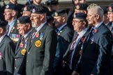 The Royal Hampshire Regimental Association (Group A27, 51 members) during the Royal British Legion March Past on Remembrance Sunday at the Cenotaph, Whitehall, Westminster, London, 11 November 2018, 12:01.
