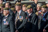 The Royal Anglian Regiment (Group A28, 21 members) during the Royal British Legion March Past on Remembrance Sunday at the Cenotaph, Whitehall, Westminster, London, 11 November 2018, 12:01.