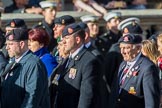 The Staffordshire Regiment (Group A29, 54 members) during the Royal British Legion March Past on Remembrance Sunday at the Cenotaph, Whitehall, Westminster, London, 11 November 2018, 12:01.