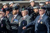 Long Eaton Branch The Worcestershire and Sherwood Forest Association (Group A32, 9 members) during the Royal British Legion March Past on Remembrance Sunday at the Cenotaph, Whitehall, Westminster, London, 11 November 2018, 12:02.