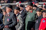 The Northumberland Fusiliers All Ranks Club (Group A34, 41 members) during the Royal British Legion March Past on Remembrance Sunday at the Cenotaph, Whitehall, Westminster, London, 11 November 2018, 12:02.