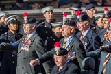 The Northumberland Fusiliers All Ranks Club (Group A34, 41 members) during the Royal British Legion March Past on Remembrance Sunday at the Cenotaph, Whitehall, Westminster, London, 11 November 2018, 12:02.