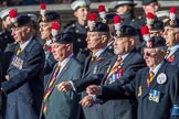 Fusiliers Association  Lancashire (Group A35, 34 members) Fusiliers Association  Lancashire (Group A35, 34 members) during the Royal British Legion March Past on Remembrance Sunday at the Cenotaph, Whitehall, Westminster, London, 11 November 2018, 12:02.