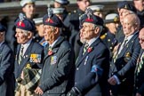 Combined Irish Regiments Association (Group A36, 34 members) during the Royal British Legion March Past on Remembrance Sunday at the Cenotaph, Whitehall, Westminster, London, 11 November 2018, 12:02.