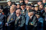 Combined Irish Regiments Association (Group A36, 34 members) during the Royal British Legion March Past on Remembrance Sunday at the Cenotaph, Whitehall, Westminster, London, 11 November 2018, 12:02.
