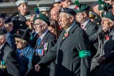 Combined Irish Regiments Association (Group A36, 34 members) during the Royal British Legion March Past on Remembrance Sunday at the Cenotaph, Whitehall, Westminster, London, 11 November 2018, 12:02.