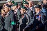 Combined Irish Regiments Association (Group A36, 34 members) during the Royal British Legion March Past on Remembrance Sunday at the Cenotaph, Whitehall, Westminster, London, 11 November 2018, 12:02.