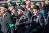 Combined Irish Regiments Association (Group A36, 34 members)  during the Royal British Legion March Past on Remembrance Sunday at the Cenotaph, Whitehall, Westminster, London, 11 November 2018, 12:02.