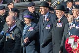Royal Army Ordnance Corps Association (Group B1, 33 members) during the Royal British Legion March Past on Remembrance Sunday at the Cenotaph, Whitehall, Westminster, London, 11 November 2018, 12:05.