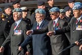 7 Regiment Army Air Corps (Volunteers) Association (Group B9, 13 members) during the Royal British Legion March Past on Remembrance Sunday at the Cenotaph, Whitehall, Westminster, London, 11 November 2018, 12:07.