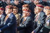 The King's Royal Hussars Regimental Association  (Group B21, 100 members) during the Royal British Legion March Past on Remembrance Sunday at the Cenotaph, Whitehall, Westminster, London, 11 November 2018, 12:10.