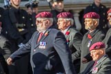 The Parachute Squadron Royal Armoured Corps (Group B28, 19 members) during the Royal British Legion March Past on Remembrance Sunday at the Cenotaph, Whitehall, Westminster, London, 11 November 2018, 12:12.