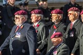 The Parachute Squadron Royal Armoured Corps (Group B28, 19 members) during the Royal British Legion March Past on Remembrance Sunday at the Cenotaph, Whitehall, Westminster, London, 11 November 2018, 12:12.