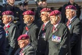 The Parachute Squadron Royal Armoured Corps (Group B28, 19 members) during the Royal British Legion March Past on Remembrance Sunday at the Cenotaph, Whitehall, Westminster, London, 11 November 2018, 12:12.