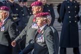 The Parachute Squadron Royal Armoured Corps (Group B28, 19 members) during the Royal British Legion March Past on Remembrance Sunday at the Cenotaph, Whitehall, Westminster, London, 11 November 2018, 12:12.