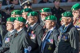 Intelligence Corps Association (Group B29, 35 members) during the Royal British Legion March Past on Remembrance Sunday at the Cenotaph, Whitehall, Westminster, London, 11 November 2018, 12:12.