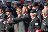 The Household Cavalry Associations (Group B32, 24 members) during the Royal British Legion March Past on Remembrance Sunday at the Cenotaph, Whitehall, Westminster, London, 11 November 2018, 12:12.
