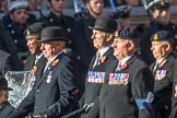 3rd Regiment Royal Horse Artillery Past and Present(Group B33, 70 members) during the Royal British Legion March Past on Remembrance Sunday at the Cenotaph, Whitehall, Westminster, London, 11 November 2018, 12:12.