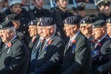 3rd Regiment Royal Horse Artillery Past and Present(Group B33, 70 members) during the Royal British Legion March Past on Remembrance Sunday at the Cenotaph, Whitehall, Westminster, London, 11 November 2018, 12:12.