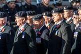 3rd Regiment Royal Horse Artillery Past and Present(Group B33, 70 members) during the Royal British Legion March Past on Remembrance Sunday at the Cenotaph, Whitehall, Westminster, London, 11 November 2018, 12:12.