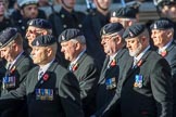 3rd Regiment Royal Horse Artillery Past and Present(Group B33, 70 members) during the Royal British Legion March Past on Remembrance Sunday at the Cenotaph, Whitehall, Westminster, London, 11 November 2018, 12:12.
