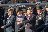 Royal Air Force Regiment Association (Group C3, 175 members) during the Royal British Legion March Past on Remembrance Sunday at the Cenotaph, Whitehall, Westminster, London, 11 November 2018, 12:14.