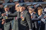 Royal Air Force Regiment Association (Group C3, 175 members) during the Royal British Legion March Past on Remembrance Sunday at the Cenotaph, Whitehall, Westminster, London, 11 November 2018, 12:15.